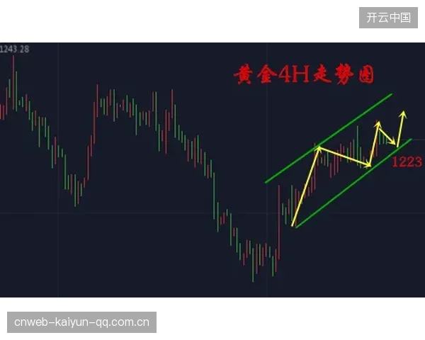 深圳新鹏城推进步伐紧凑，组织节奏极佳